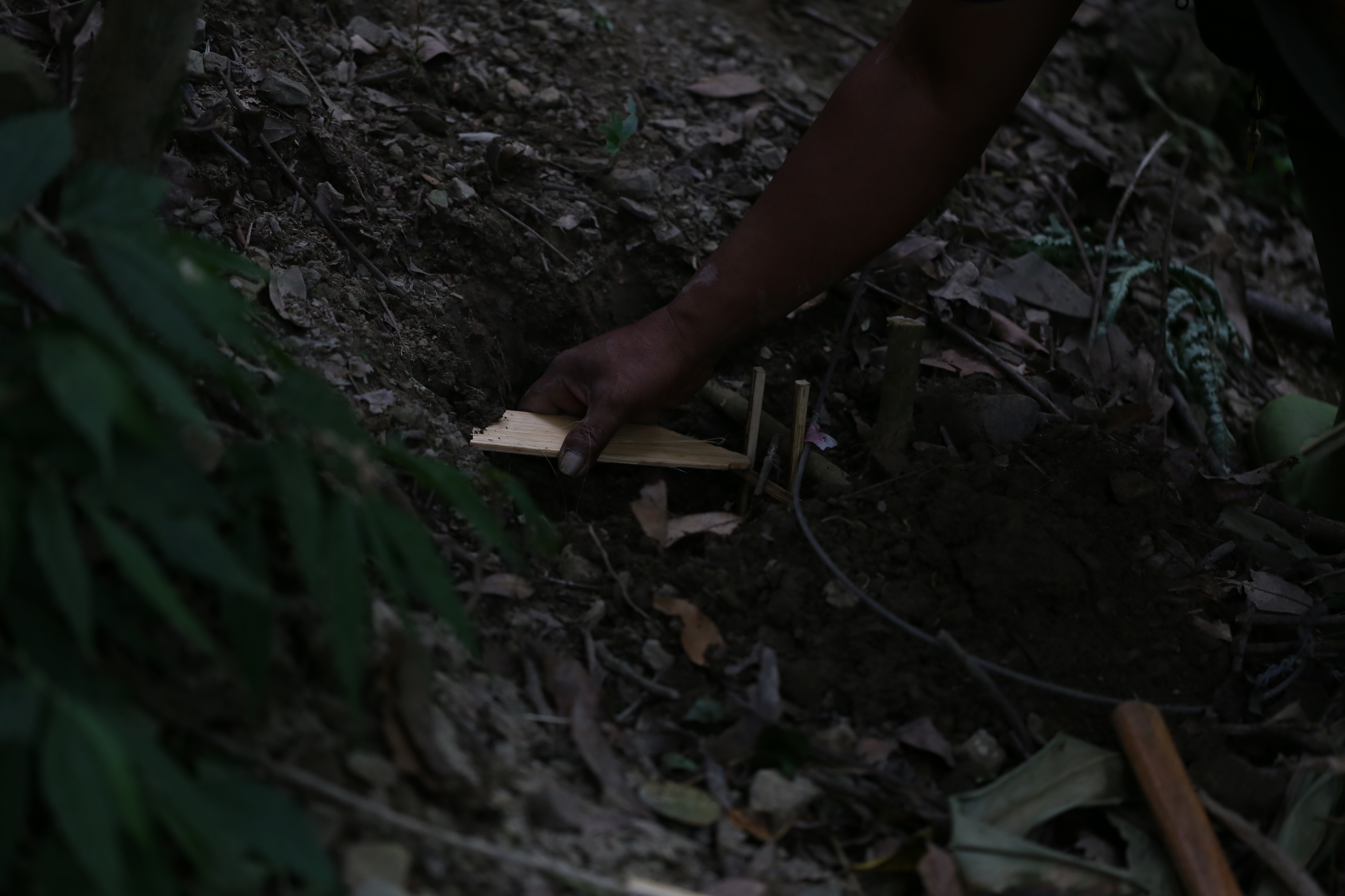 Image 5